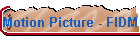 Motion Picture - FIDM