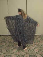 P6100407.jpg (99320 bytes)