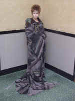 P6100526.jpg (66688 bytes)