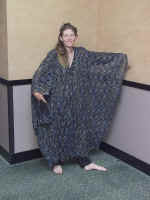 P6100545.jpg (94067 bytes)